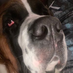 Meet your Posher, Jacob